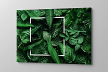 Obraz Exotické tajomstvo 1964